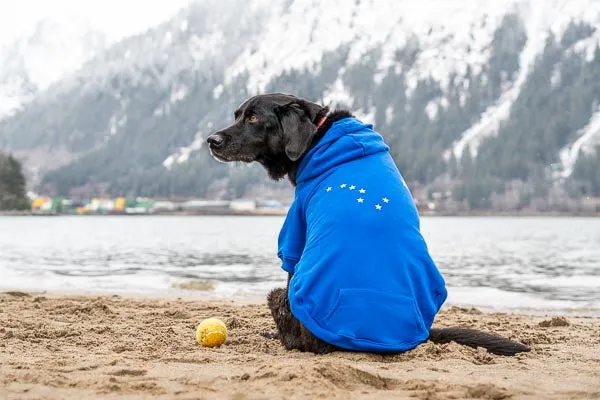 Alaska Flag Dog Hoodie