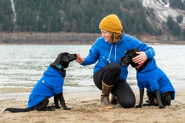 Alaska Flag Dog Hoodie