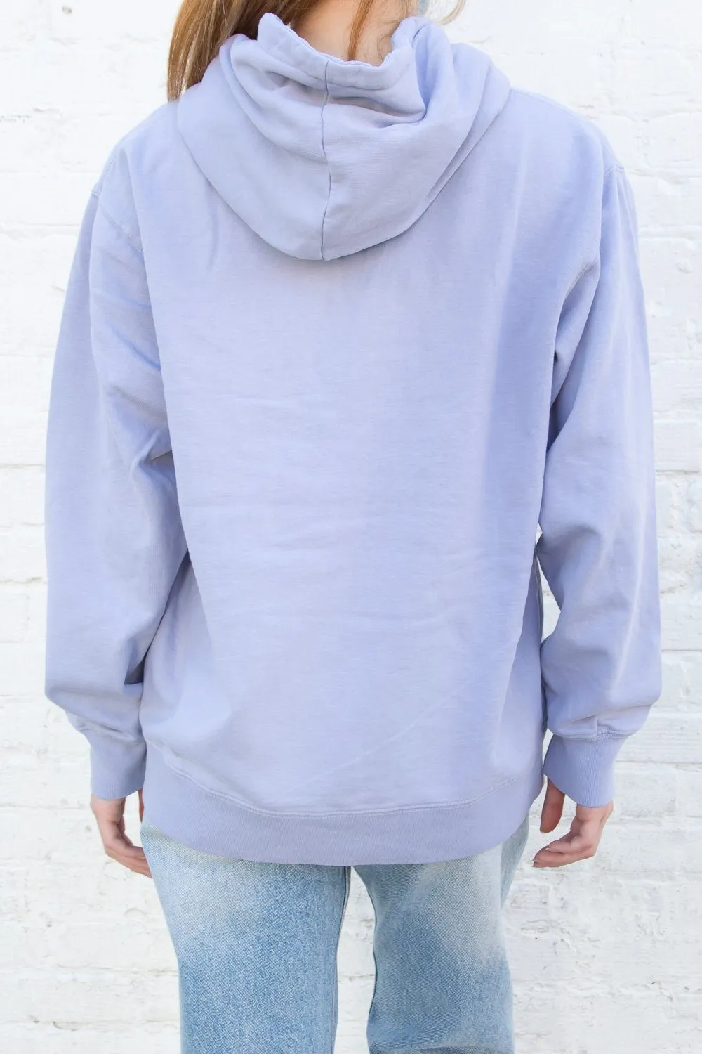 Christy Regular Fit Hoodie