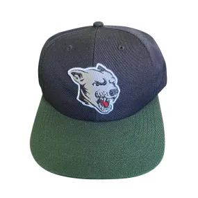 Dawg Snapback Black