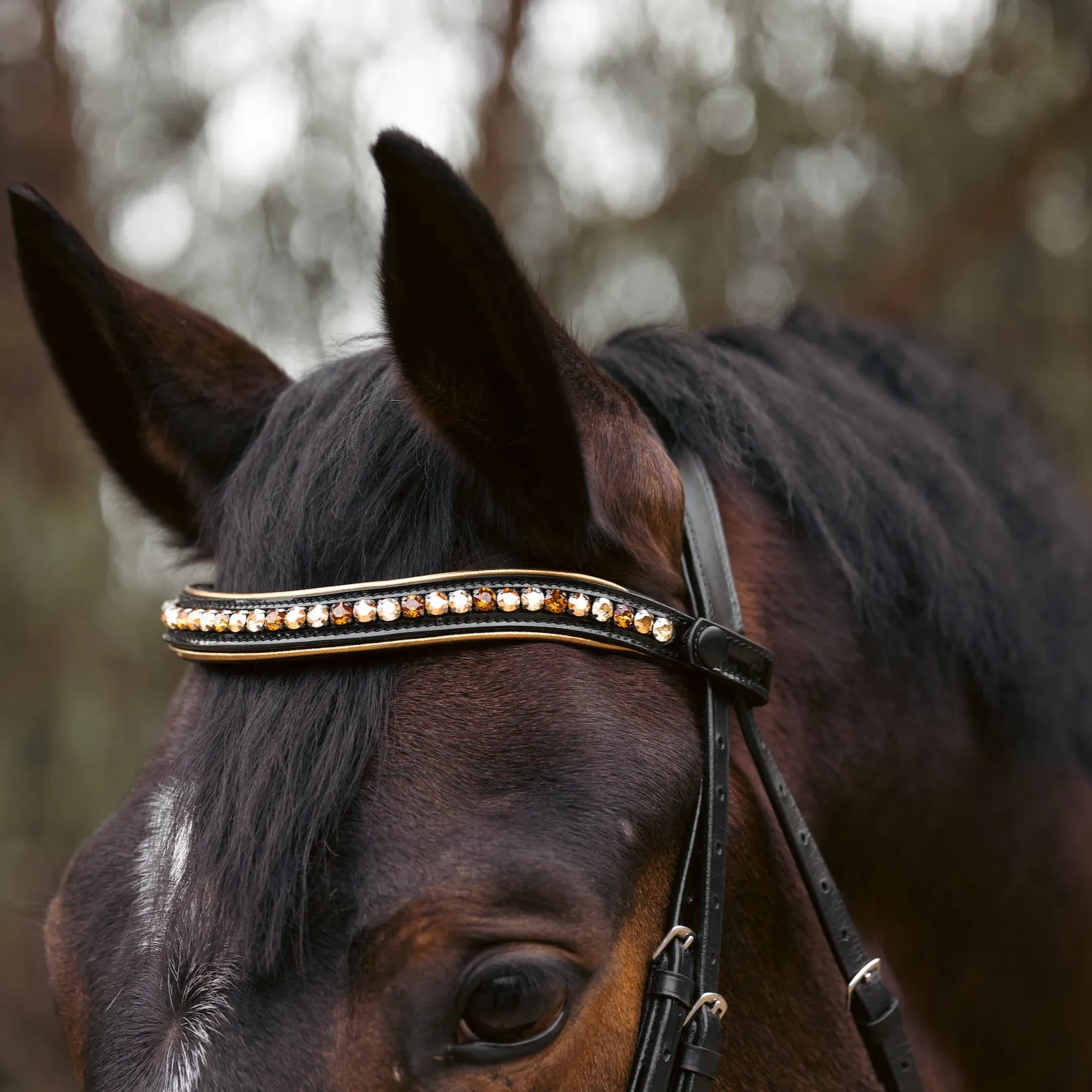 Geneva - Black Patent Snaffle Bridle with Metallic Gold Piping