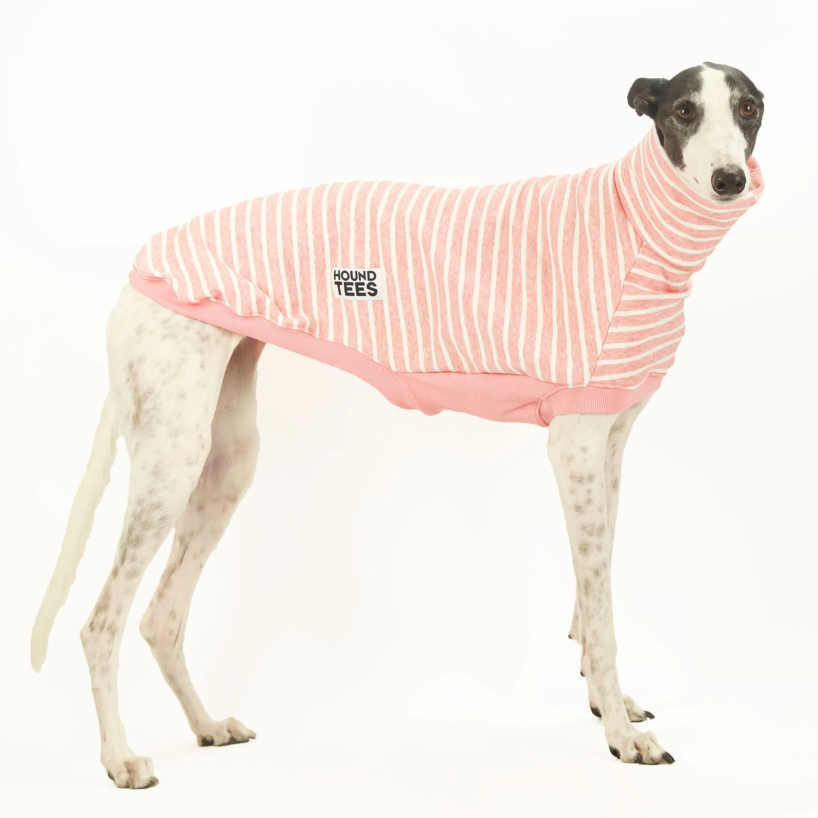 Milkshake Greyhound Sleeveless Sweater