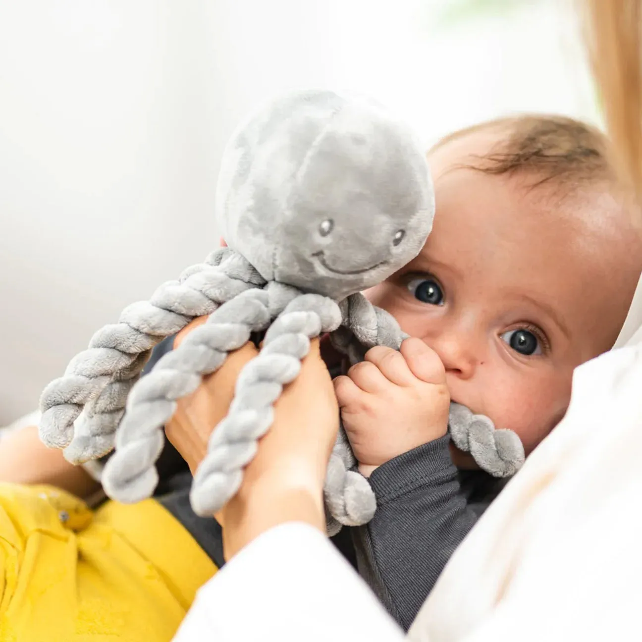 Nattou Preemie Octopus Comforter - Grey