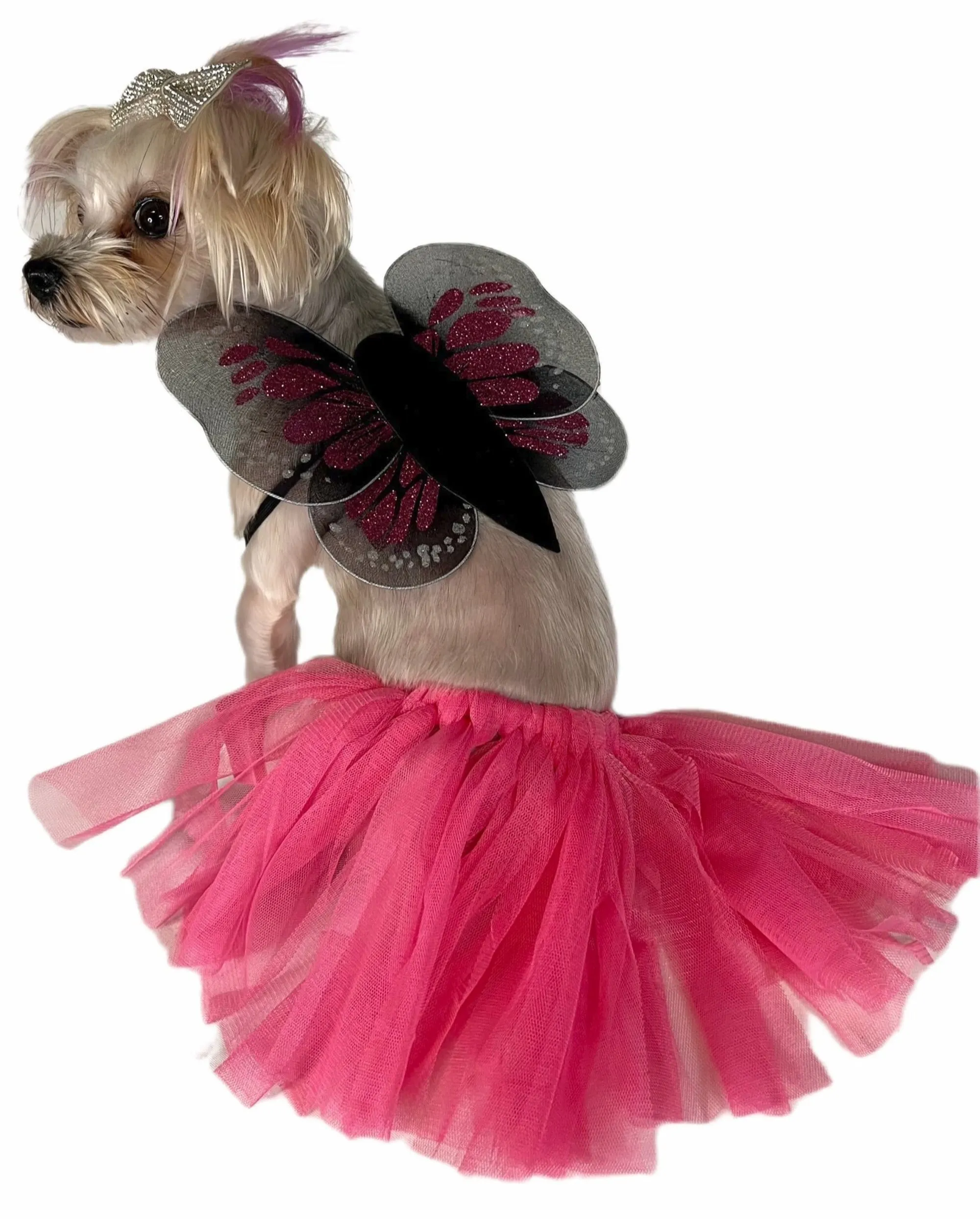 Pawpatu Fuschia Butterfly Pet Costume, Tutu/Wing Set