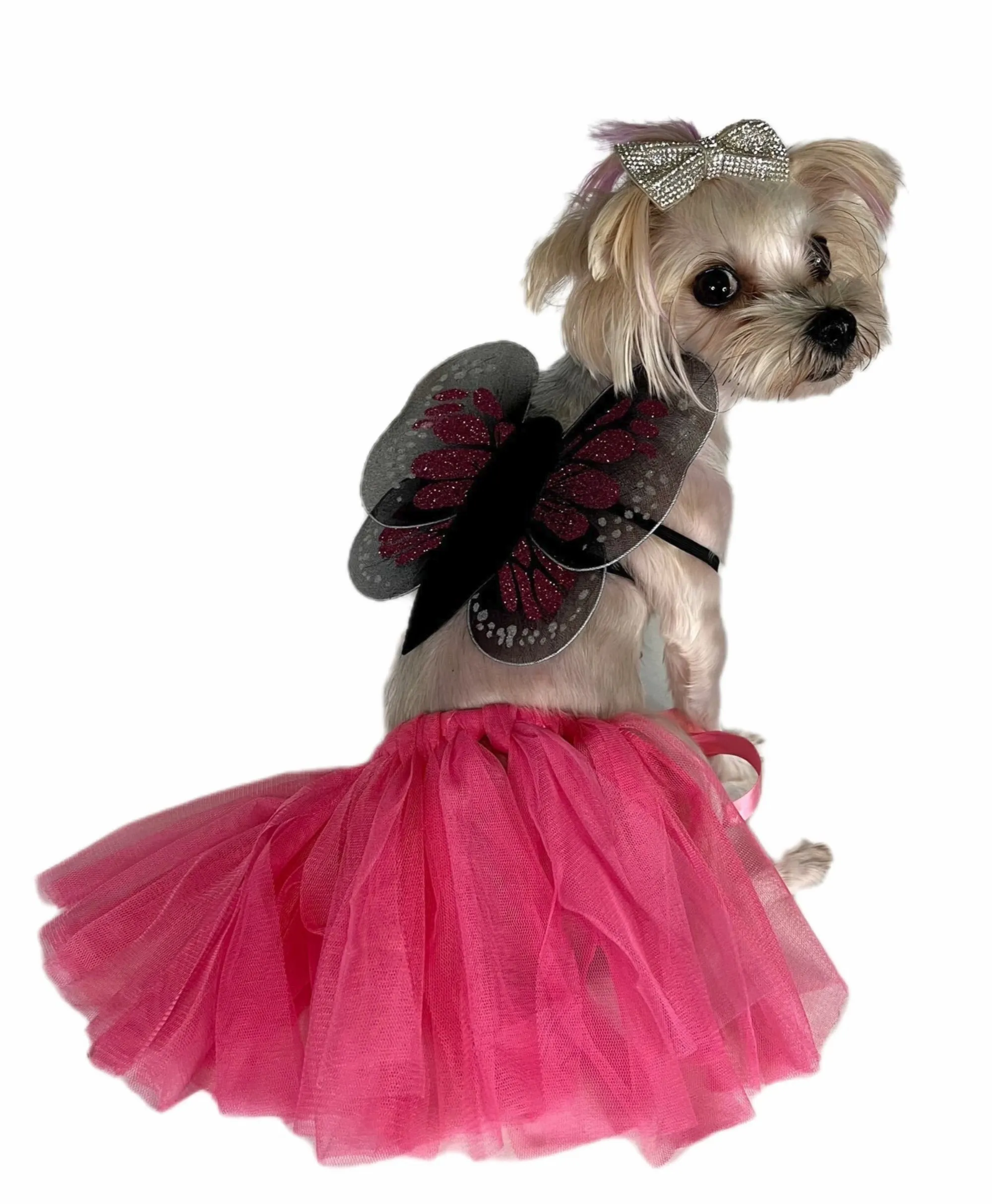 Pawpatu Fuschia Butterfly Pet Costume, Tutu/Wing Set